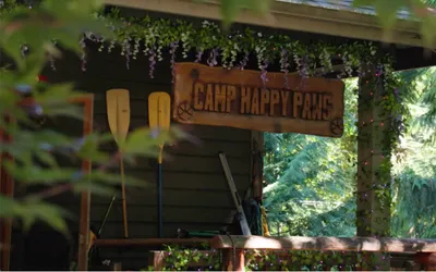 Big News: Day Camp at Camp Happy Paws Now Open 7 Days a Week